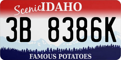 ID license plate 3B8386K