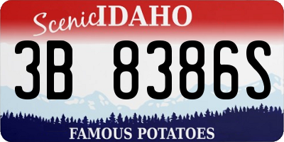 ID license plate 3B8386S