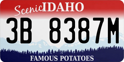 ID license plate 3B8387M