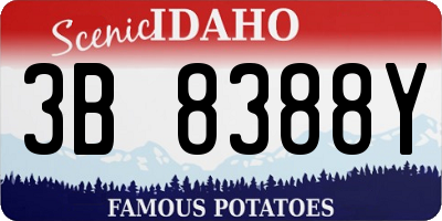 ID license plate 3B8388Y