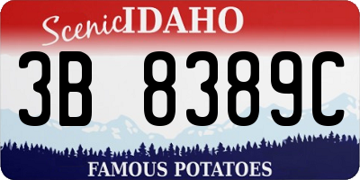 ID license plate 3B8389C
