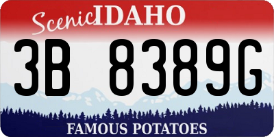 ID license plate 3B8389G