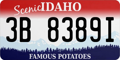 ID license plate 3B8389I