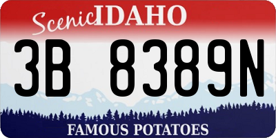 ID license plate 3B8389N
