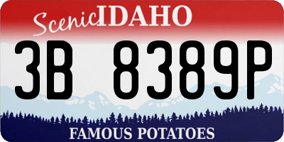 ID license plate 3B8389P