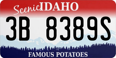 ID license plate 3B8389S