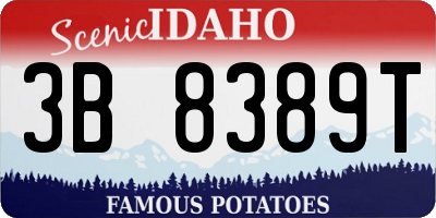 ID license plate 3B8389T