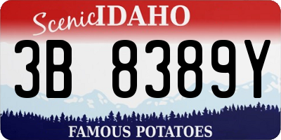 ID license plate 3B8389Y