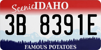 ID license plate 3B8391E