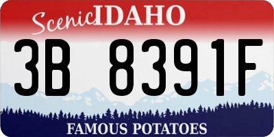 ID license plate 3B8391F