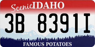 ID license plate 3B8391I