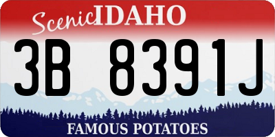 ID license plate 3B8391J
