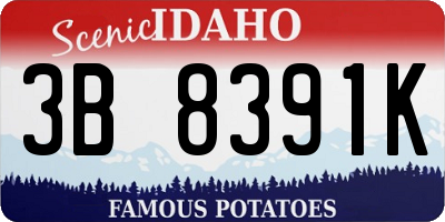 ID license plate 3B8391K
