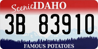 ID license plate 3B8391O