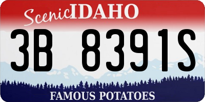 ID license plate 3B8391S