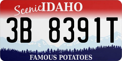 ID license plate 3B8391T