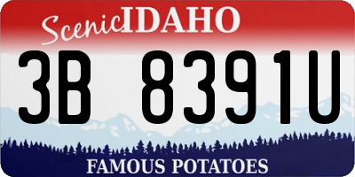 ID license plate 3B8391U