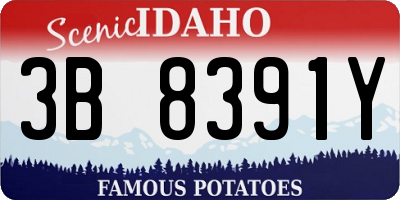 ID license plate 3B8391Y