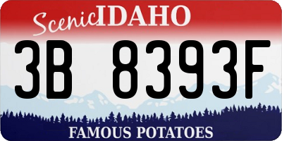 ID license plate 3B8393F