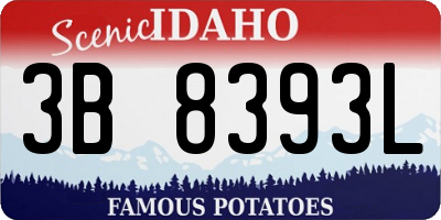 ID license plate 3B8393L