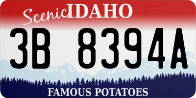 ID license plate 3B8394A