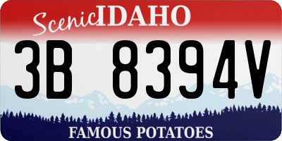 ID license plate 3B8394V