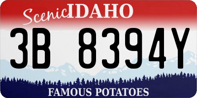 ID license plate 3B8394Y