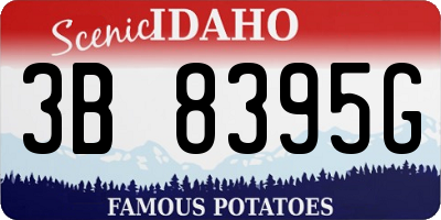 ID license plate 3B8395G