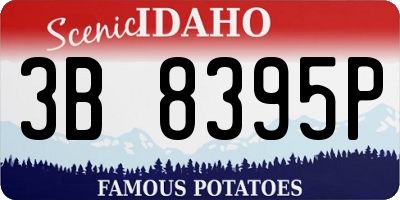 ID license plate 3B8395P