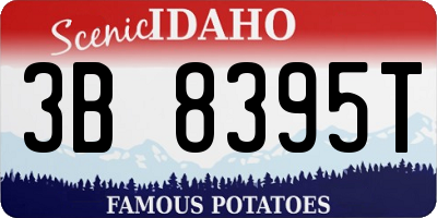 ID license plate 3B8395T