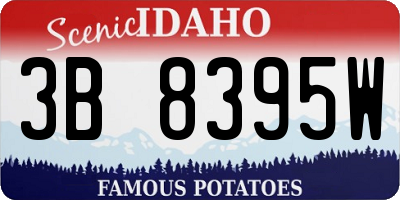 ID license plate 3B8395W