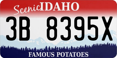 ID license plate 3B8395X