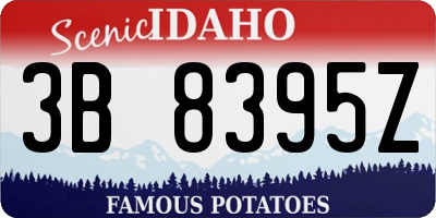 ID license plate 3B8395Z