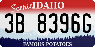 ID license plate 3B8396G