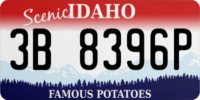 ID license plate 3B8396P
