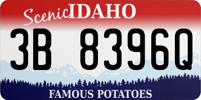 ID license plate 3B8396Q