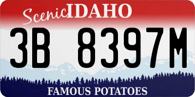 ID license plate 3B8397M