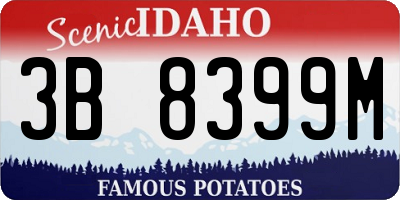 ID license plate 3B8399M