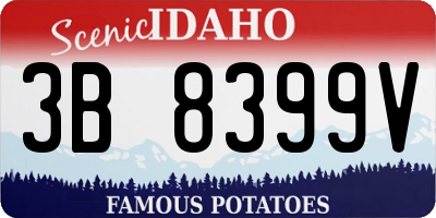 ID license plate 3B8399V
