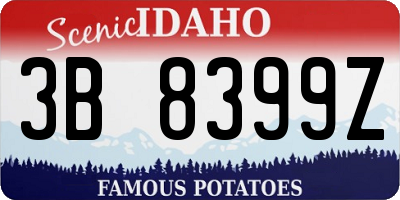 ID license plate 3B8399Z