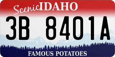 ID license plate 3B8401A
