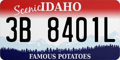 ID license plate 3B8401L