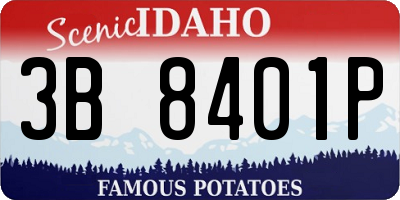 ID license plate 3B8401P