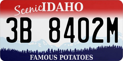ID license plate 3B8402M