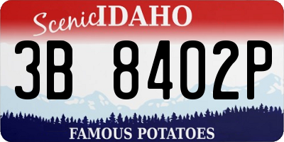 ID license plate 3B8402P