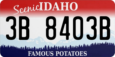ID license plate 3B8403B