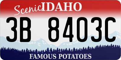 ID license plate 3B8403C