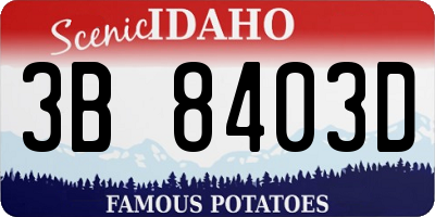 ID license plate 3B8403D