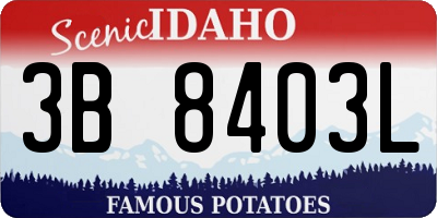 ID license plate 3B8403L