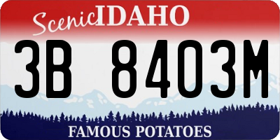 ID license plate 3B8403M